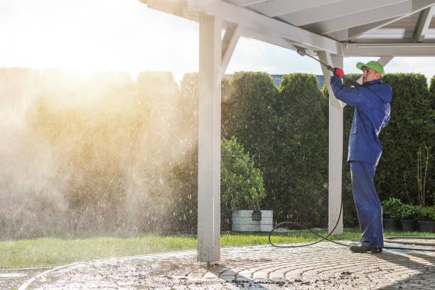 Professional Pressure Washing in Hamburg, IA